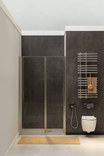 Душевая дверь Allen Brau Priority 100 3.31029.BA профиль Серебро браш